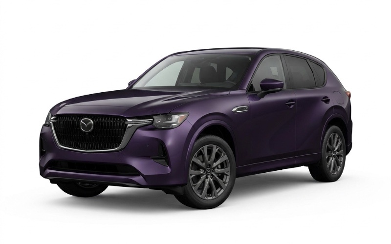 CX - 6E