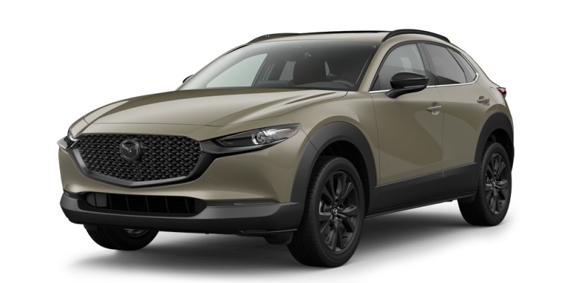 CX - 30