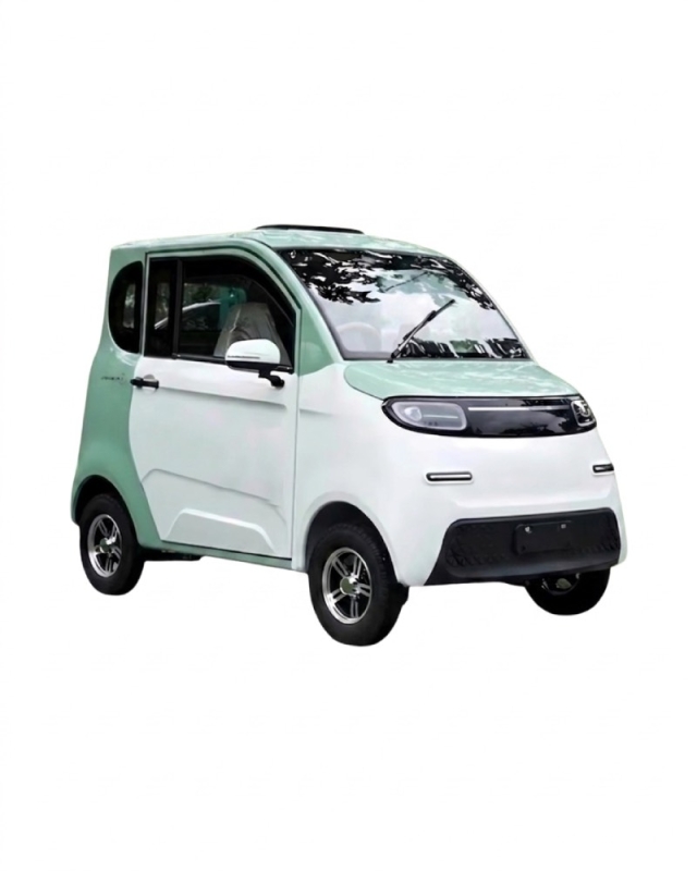 Mini-automobilis ELEKTRINIS KETURRATIS FL-08